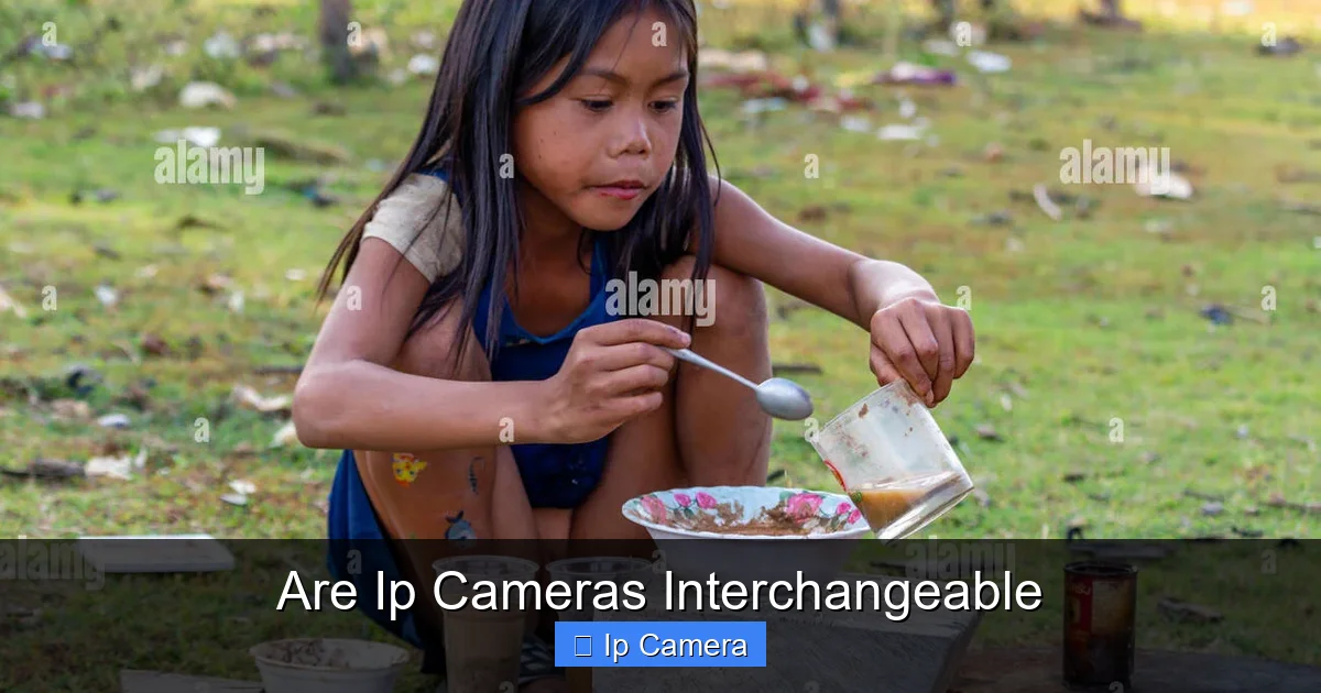 Are Ip Cameras Interchangeable