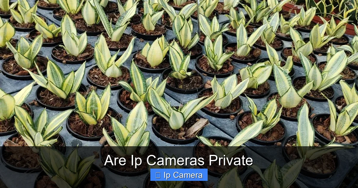 Are Ip Cameras Private
