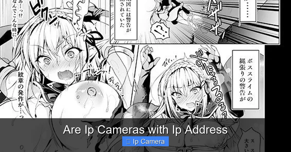 Are Ip Cameras with Ip Address