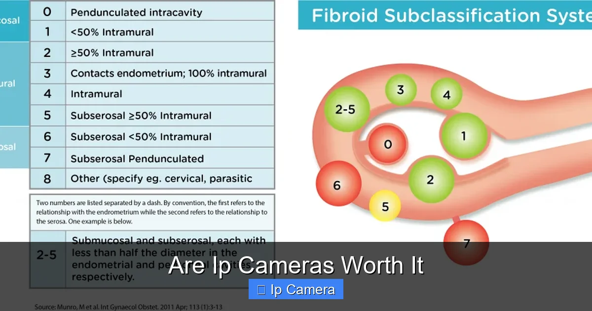 Are Ip Cameras Worth It