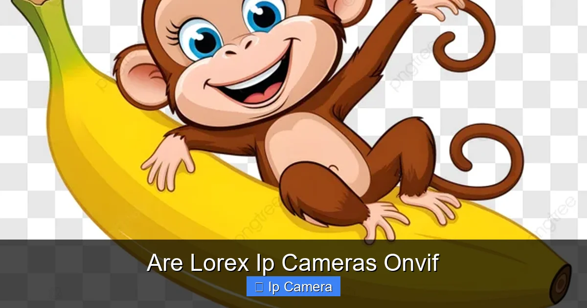Are Lorex Ip Cameras Onvif