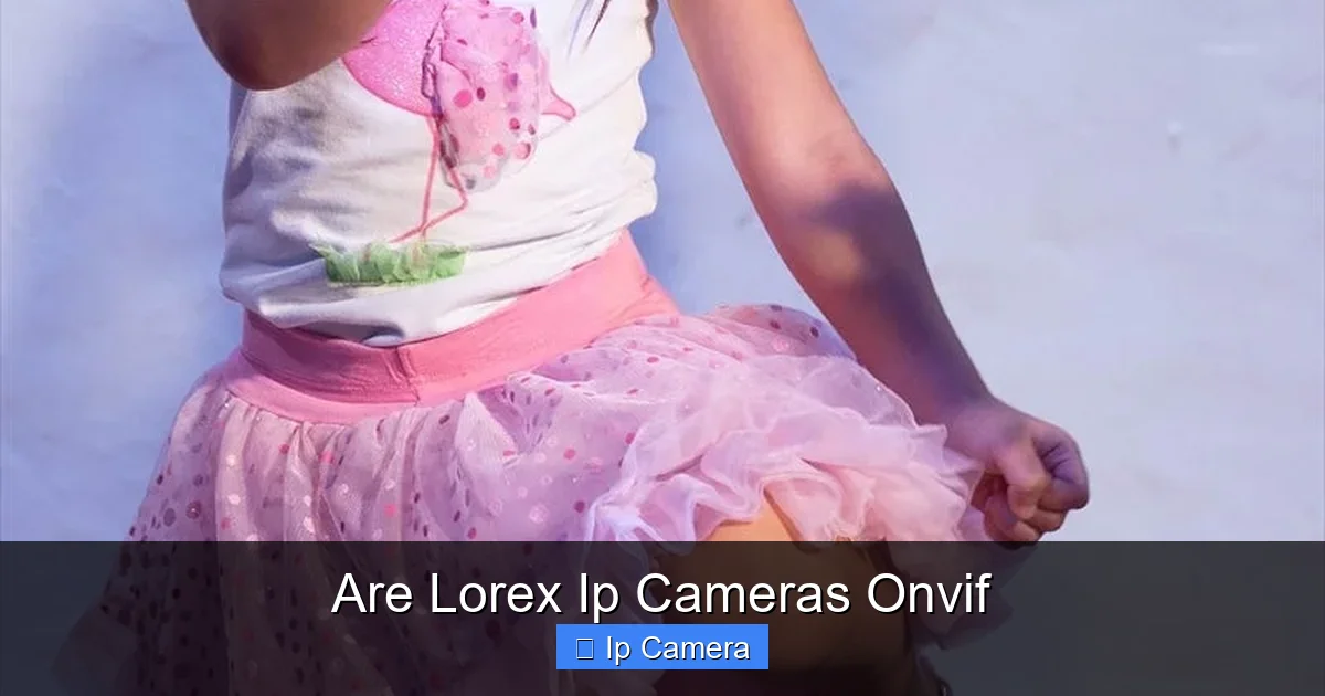 Are Lorex Ip Cameras Onvif