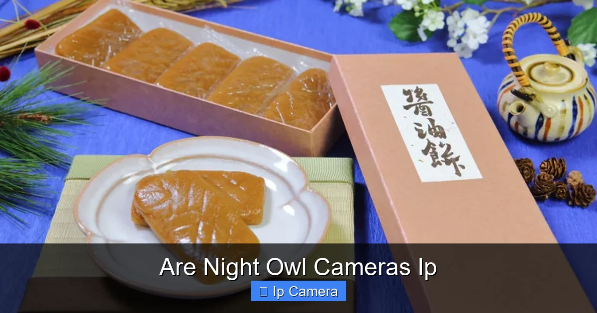 Are Night Owl Cameras Ip