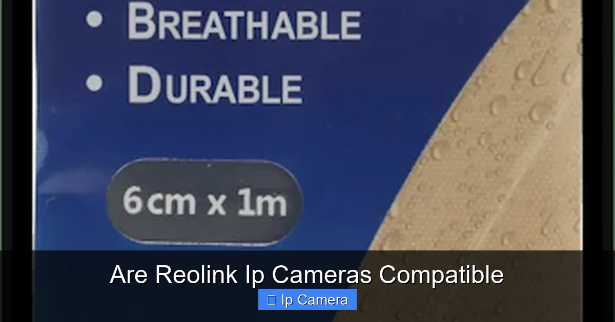 Are Reolink Ip Cameras Compatible