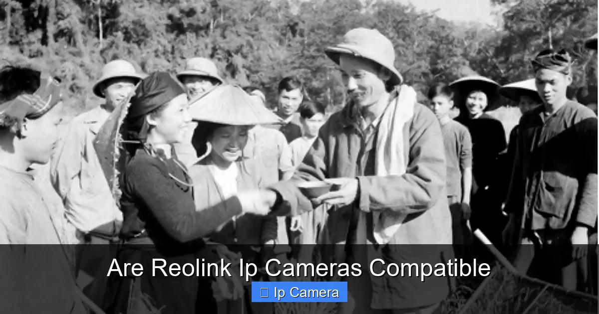 Are Reolink Ip Cameras Compatible