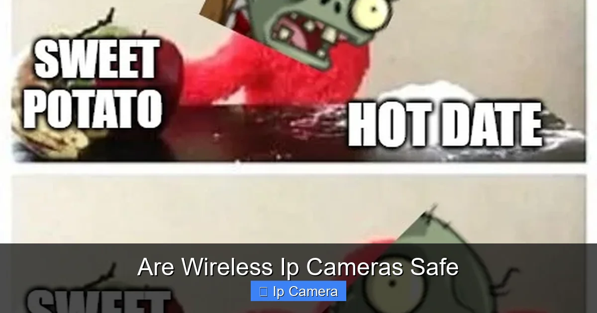Are Wireless Ip Cameras Safe