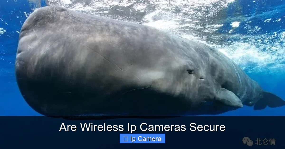 Are Wireless Ip Cameras Secure