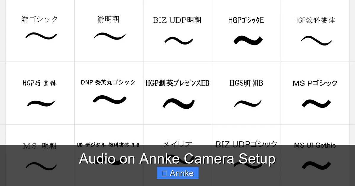 Audio on Annke Camera Setup