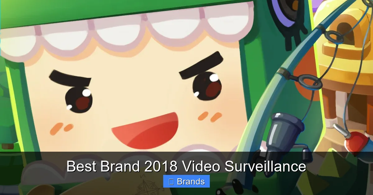 Best Brand 2018 Video Surveillance