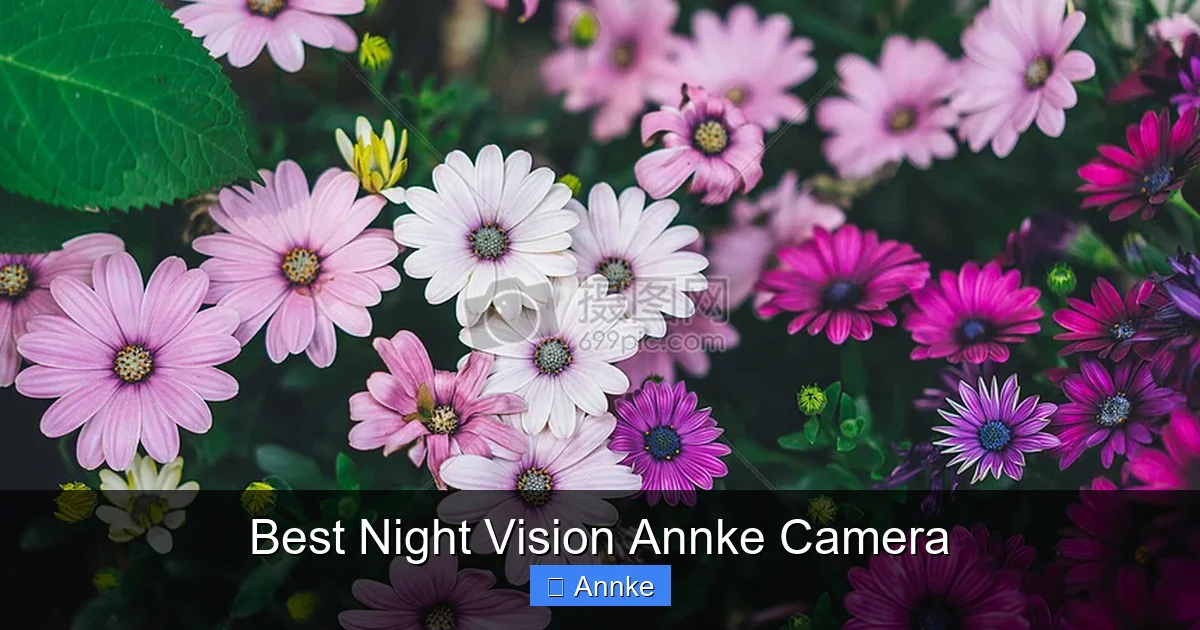 Best Night Vision Annke Camera