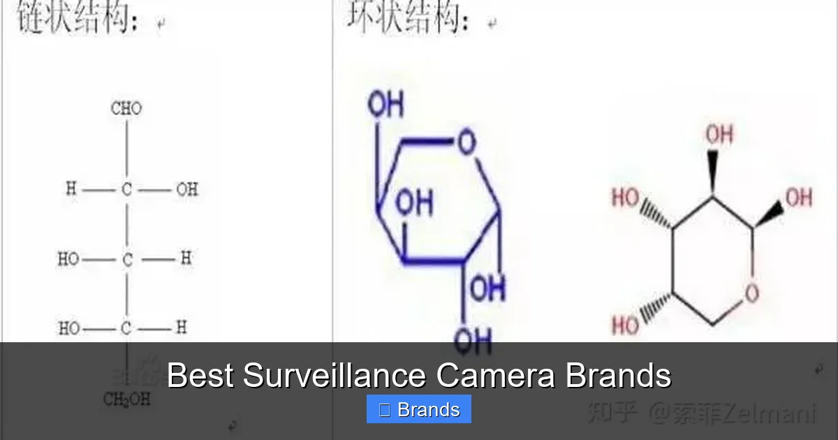 Best Surveillance Camera Brands