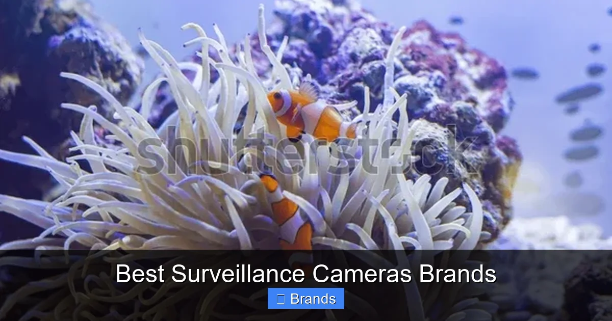 Best Surveillance Cameras Brands