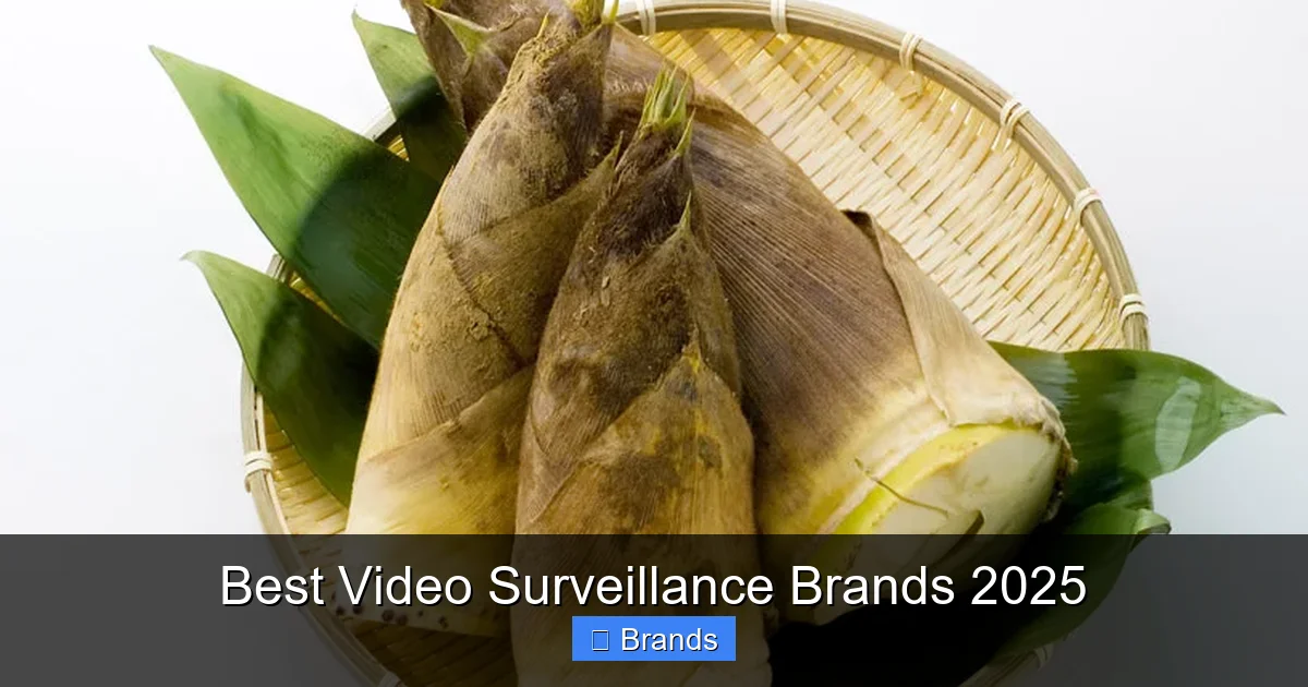 Best Video Surveillance Brands 2025