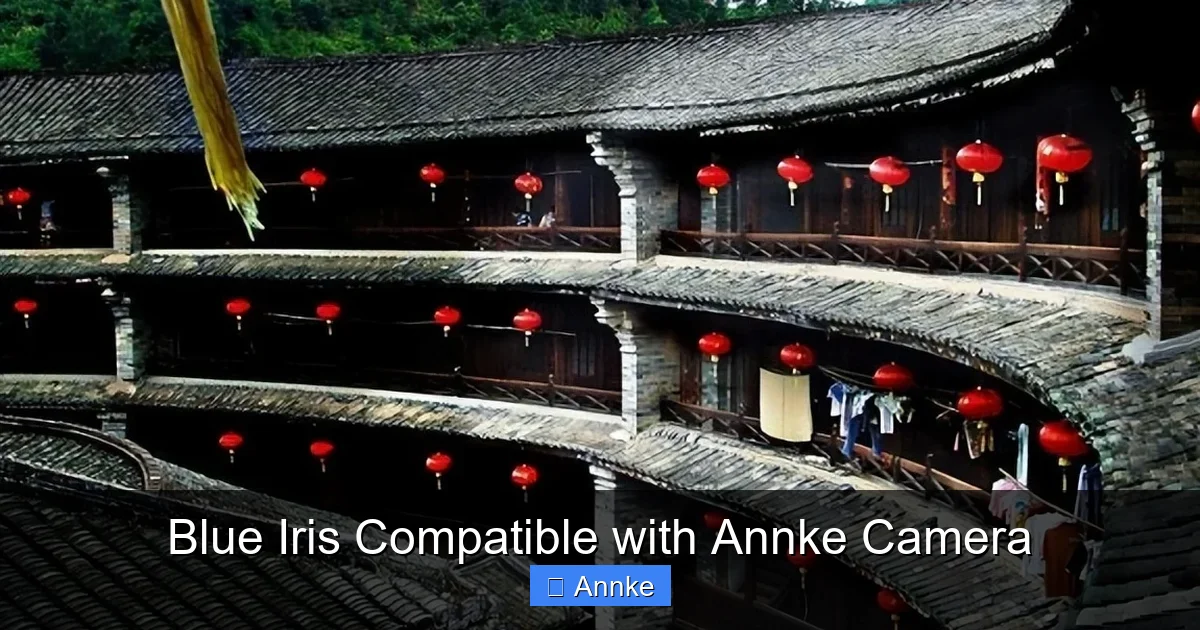 Blue Iris Compatible with Annke Camera