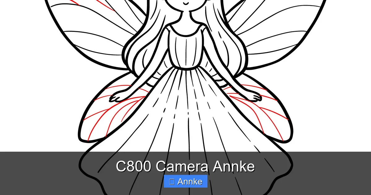 C800 Camera Annke
