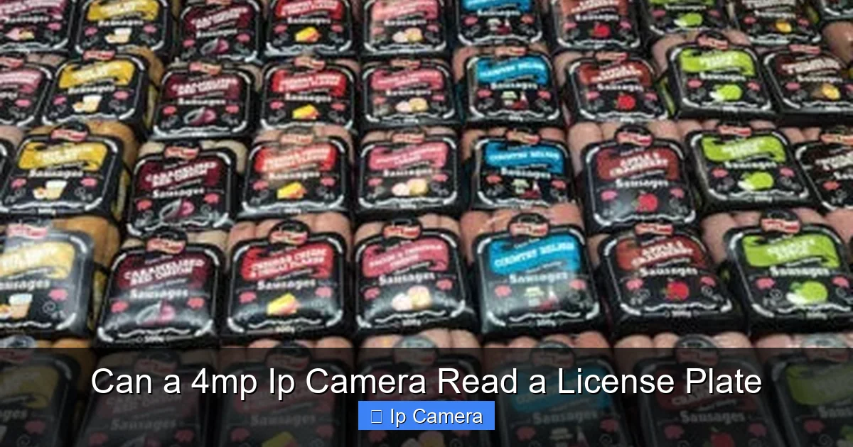 Can a 4mp Ip Camera Read a License Plate