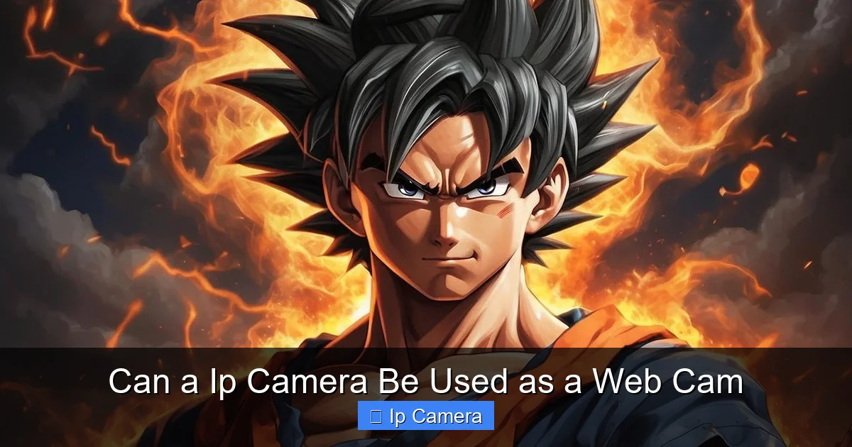 Can a Ip Camera Be Used as a Web Cam