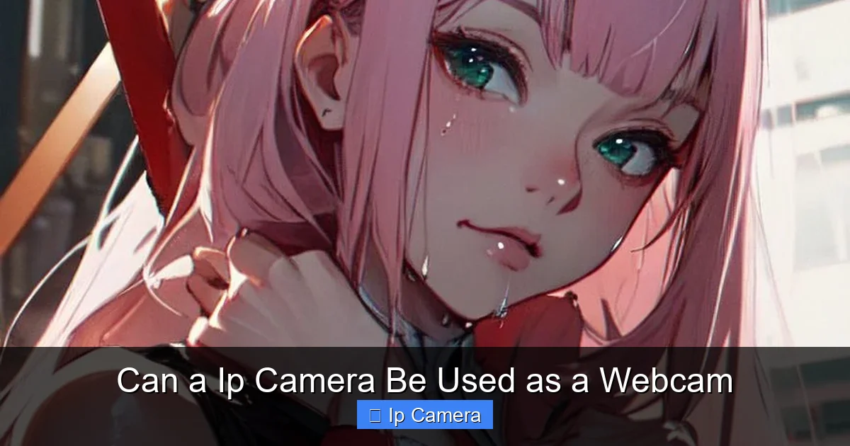 Can a Ip Camera Be Used as a Webcam