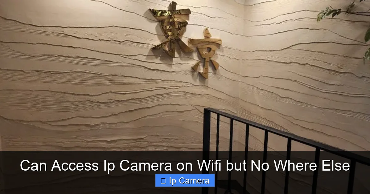Can Access Ip Camera on Wifi but No Where Else