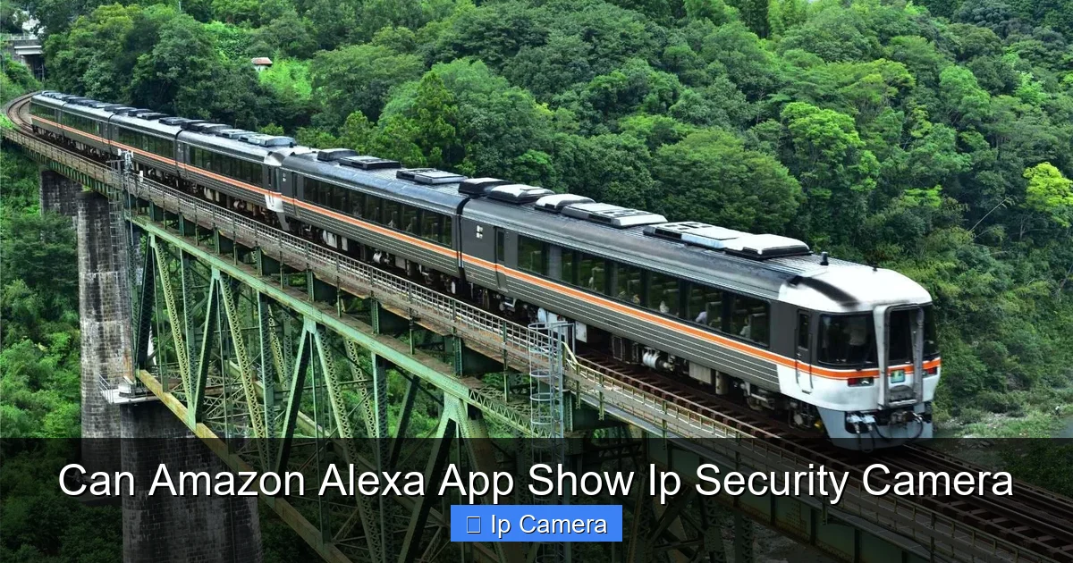 Can Amazon Alexa App Show Ip Security Camera
