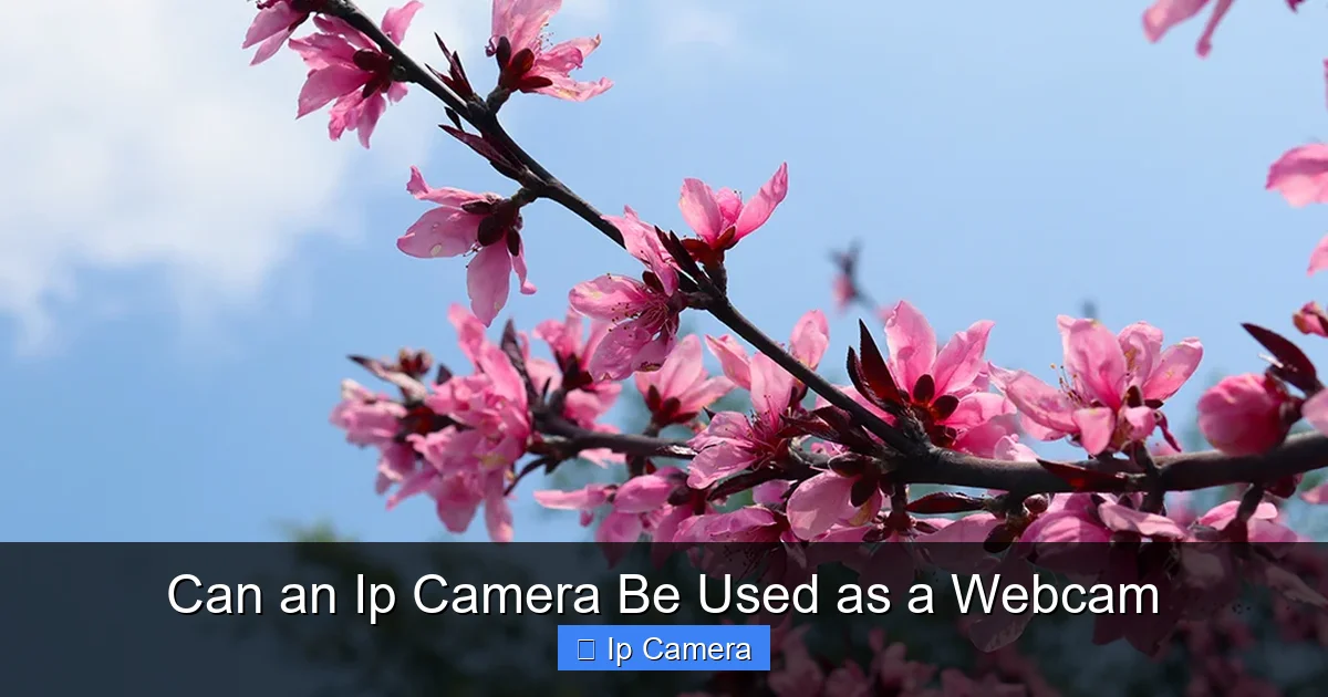Can an Ip Camera Be Used as a Webcam