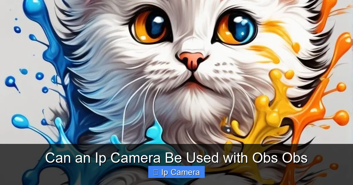Can an Ip Camera Be Used with Obs Obs