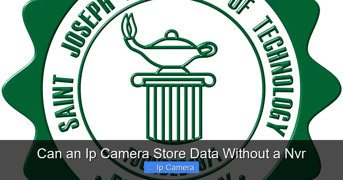 Can an Ip Camera Store Data Without a Nvr