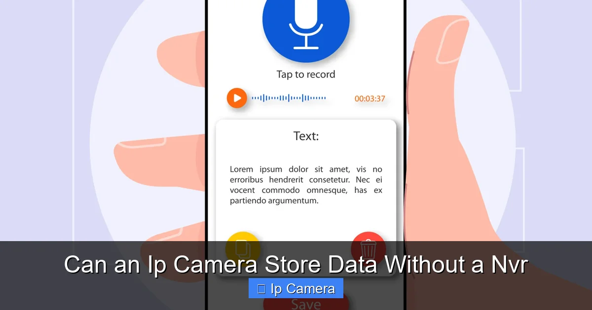 Can an Ip Camera Store Data Without a Nvr