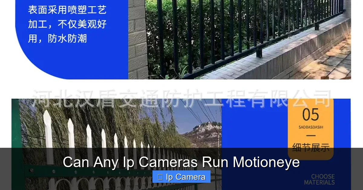 Can Any Ip Cameras Run Motioneye