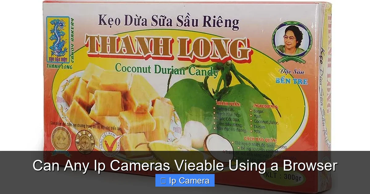 Can Any Ip Cameras Vieable Using a Browser
