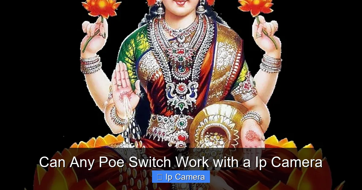 Can Any Poe Switch Work with a Ip Camera