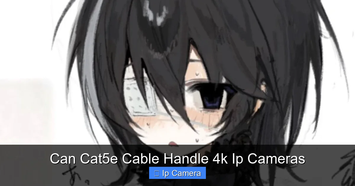 Can Cat5e Cable Handle 4k Ip Cameras