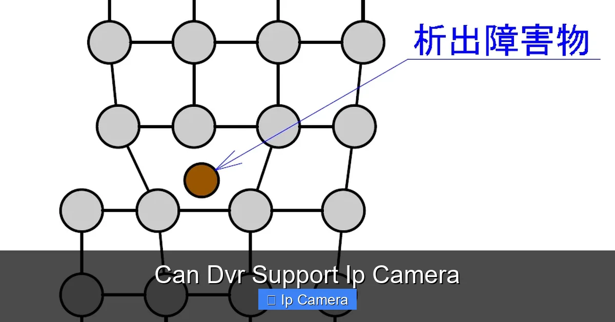 Can Dvr Support Ip Camera