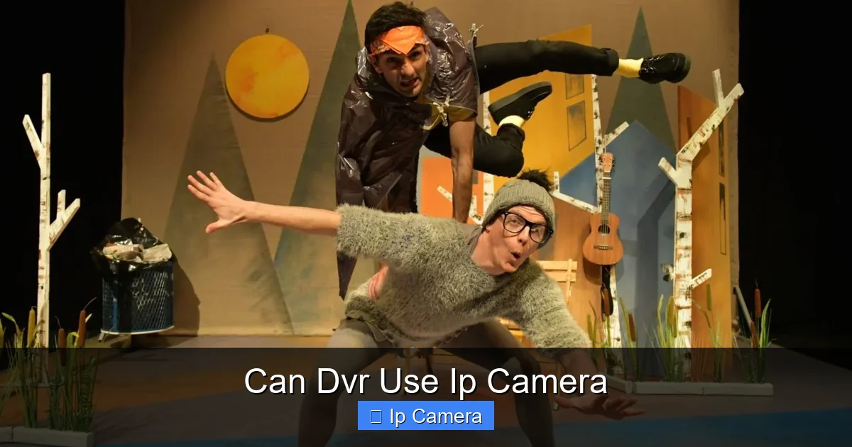 Can Dvr Use Ip Camera