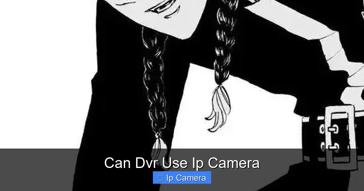 Can Dvr Use Ip Camera