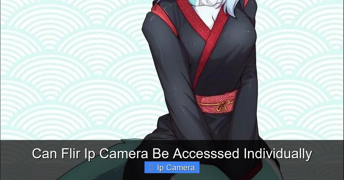 Can Flir Ip Camera Be Accesssed Individually