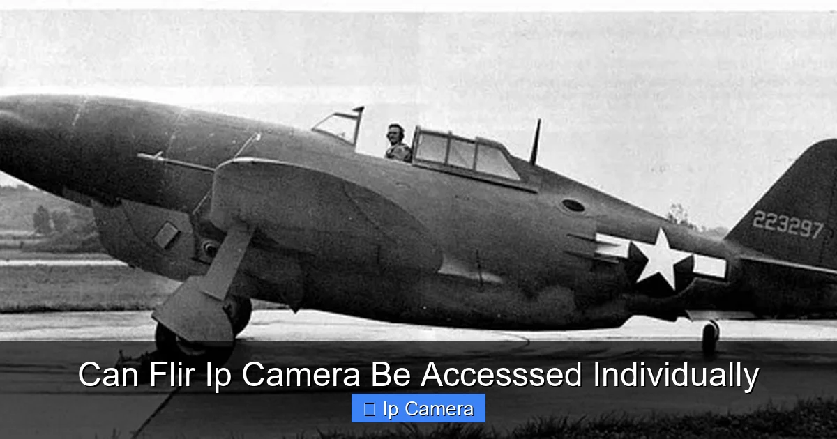 Can Flir Ip Camera Be Accesssed Individually