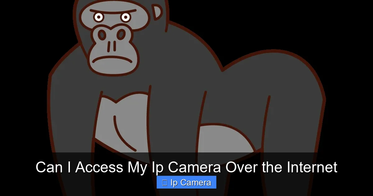 Can I Access My Ip Camera Over the Internet