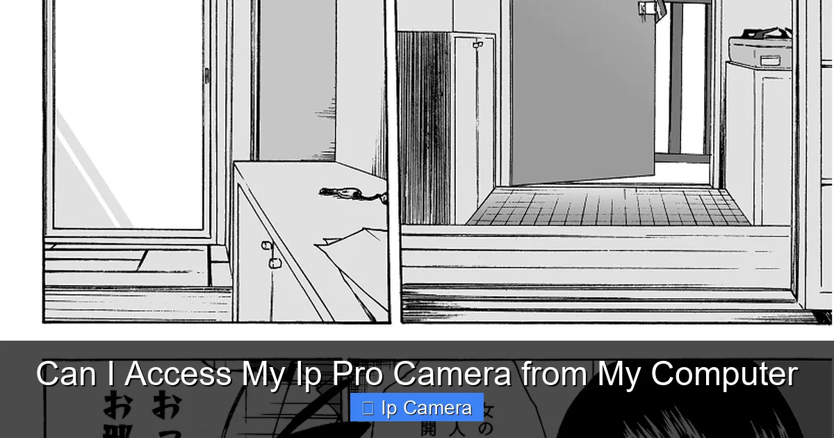 Can I Access My Ip Pro Camera from My Computer