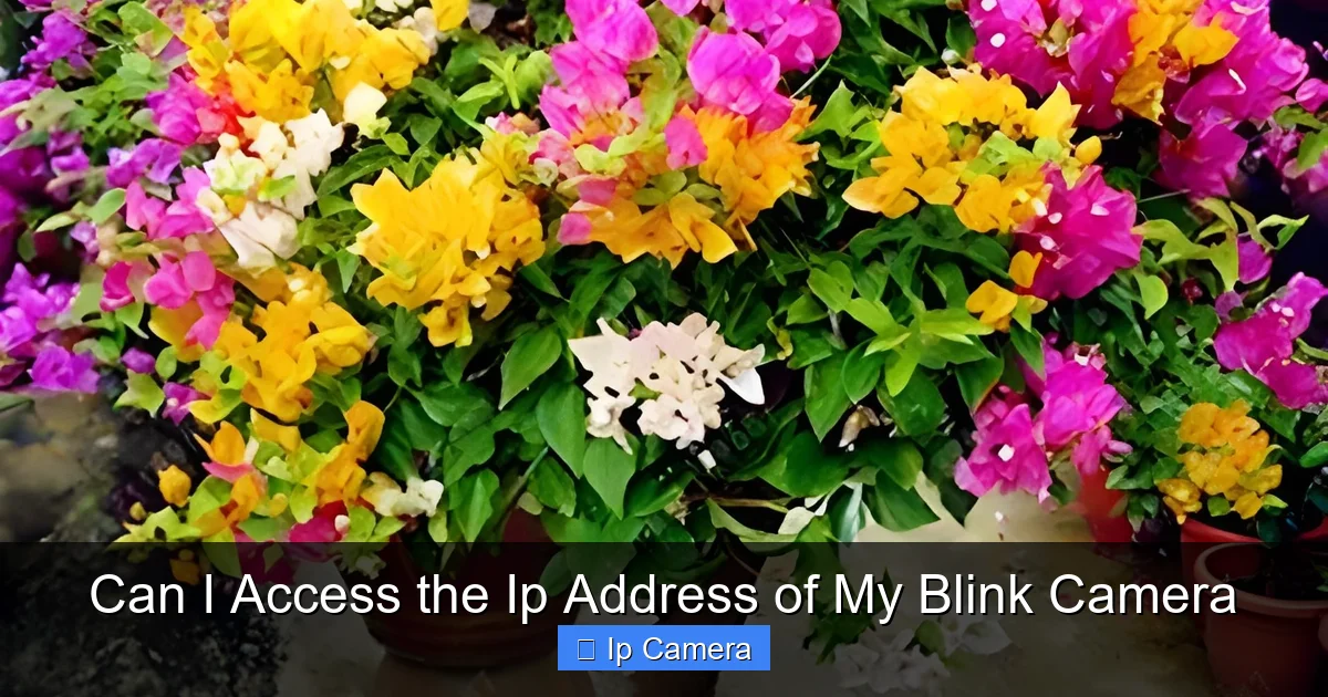 Can I Access the Ip Address of My Blink Camera