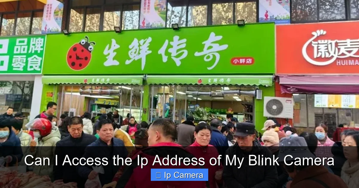 Can I Access the Ip Address of My Blink Camera