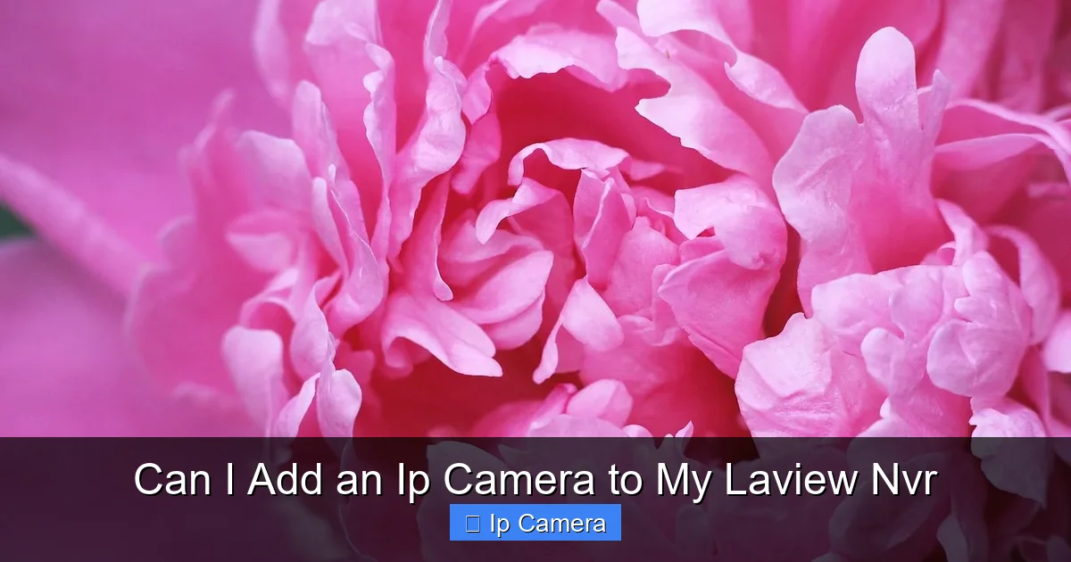 Can I Add an Ip Camera to My Laview Nvr