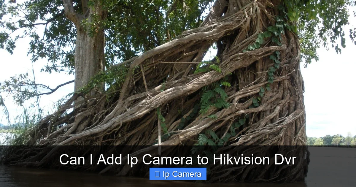Can I Add Ip Camera to Hikvision Dvr