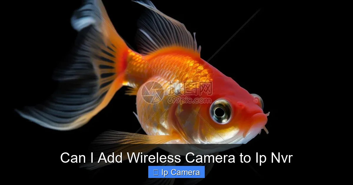 Can I Add Wireless Camera to Ip Nvr