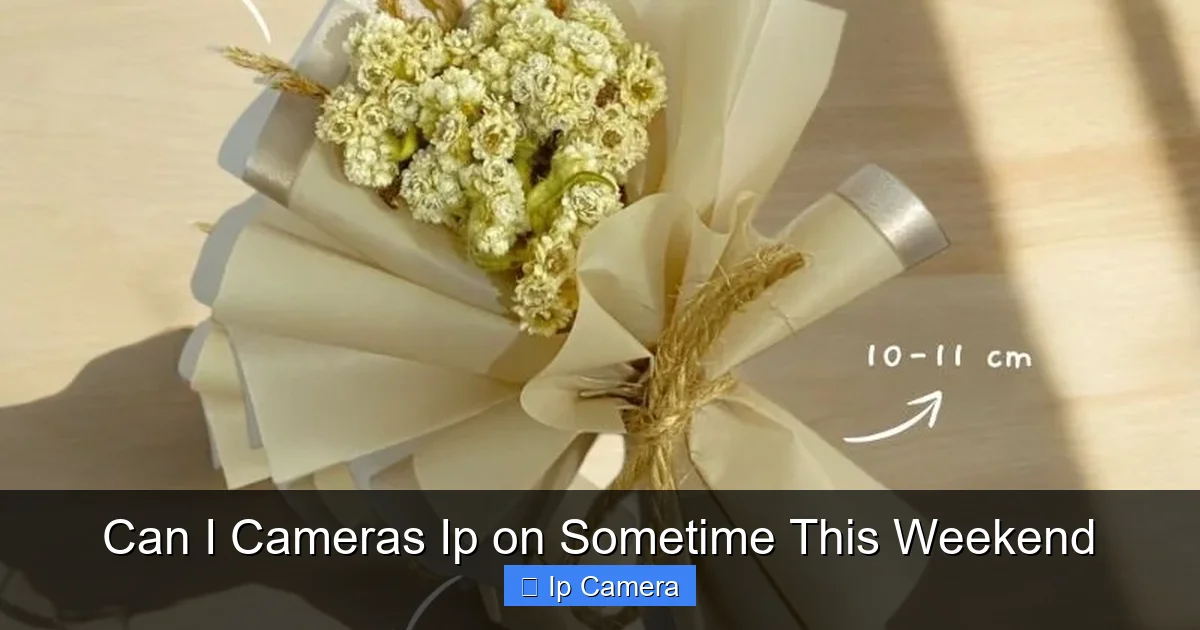 Can I Cameras Ip on Sometime This Weekend
