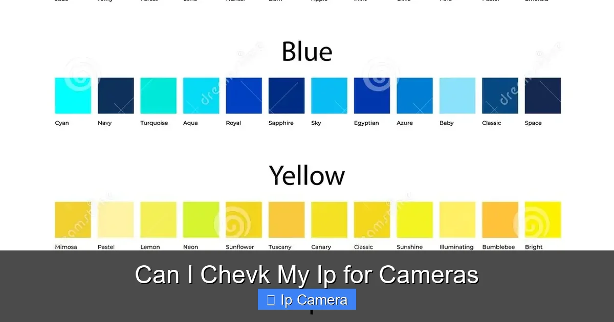 Can I Chevk My Ip for Cameras