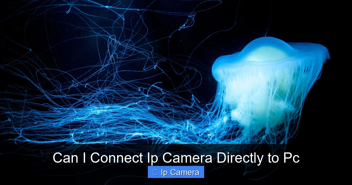 Can I Connect Ip Camera Directly to Pc