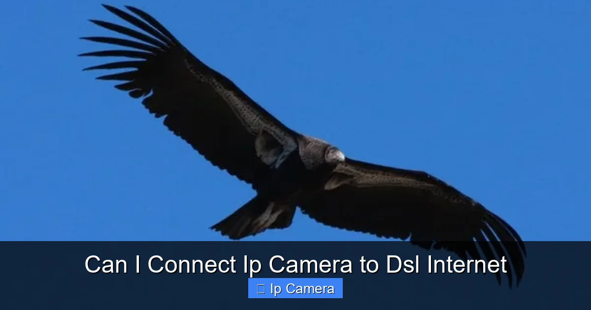 Can I Connect Ip Camera to Dsl Internet