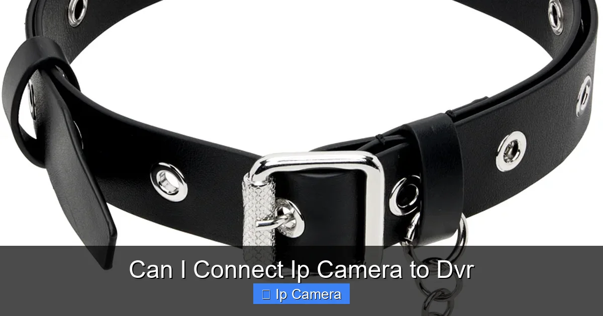 Can I Connect Ip Camera to Dvr