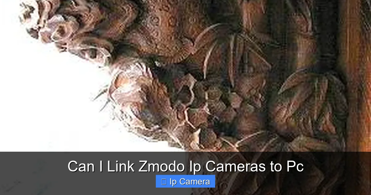 Can I Link Zmodo Ip Cameras to Pc